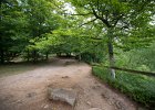 2016 07- D8H6300 : Besök i Växjö, Skåne, Söderåsens Nationalpark